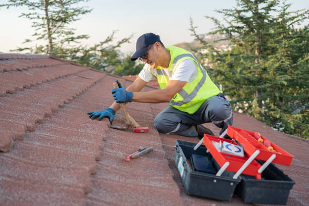 Best Storm Damage Roof Repair  in Isle Of Hope, GA